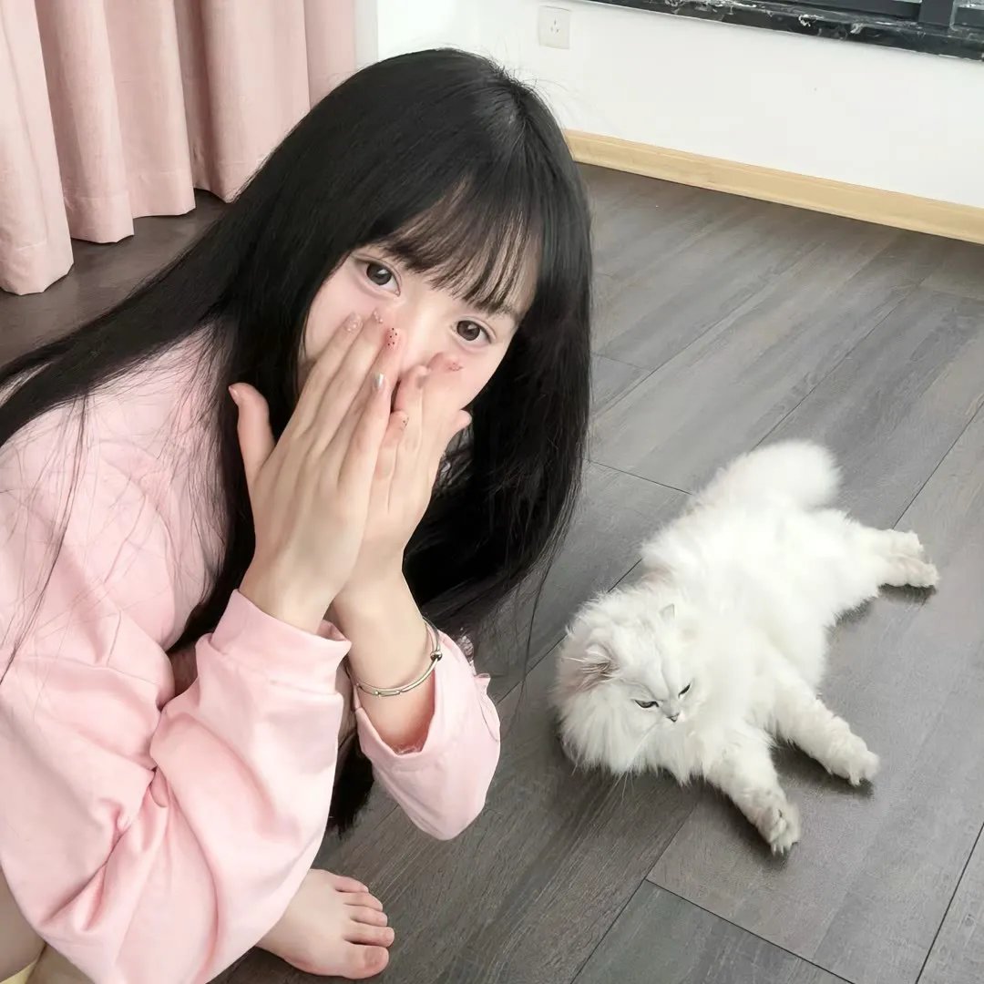 齐木楠雄的灾难 日播版